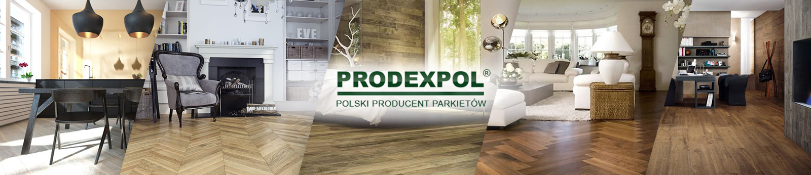 PRODEXPOL.pl
